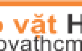 rao-vat-hcm